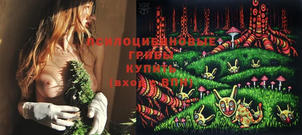 эйфоретик Абинск