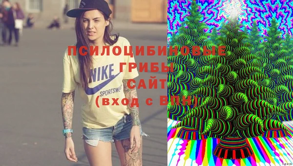 гашик Абаза