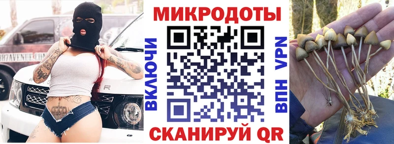 магазин продажи   Уварово  Псилоцибиновые грибы Cubensis 